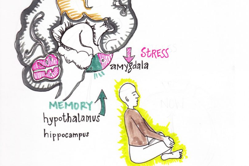 ImageThink strategic visual of the beneficial effects of meditation