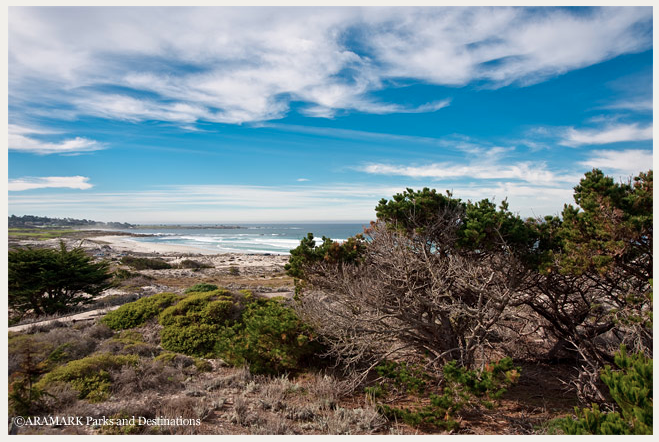 “Refuge by the Sea”