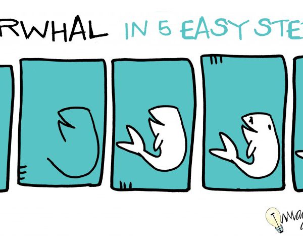 how to draw a narwhal in 5 steps