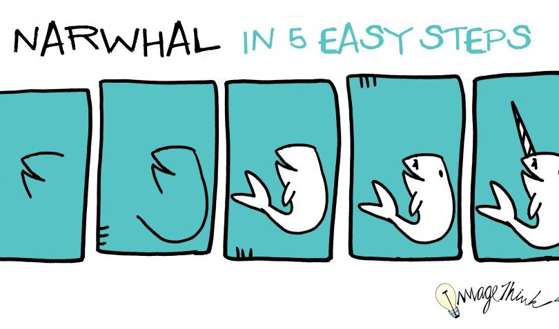 how to draw a narwhal in 5 steps