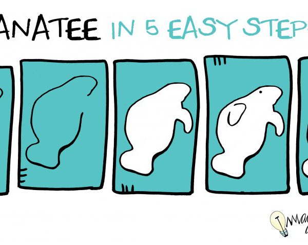 how to draw a manatee in 5 steps