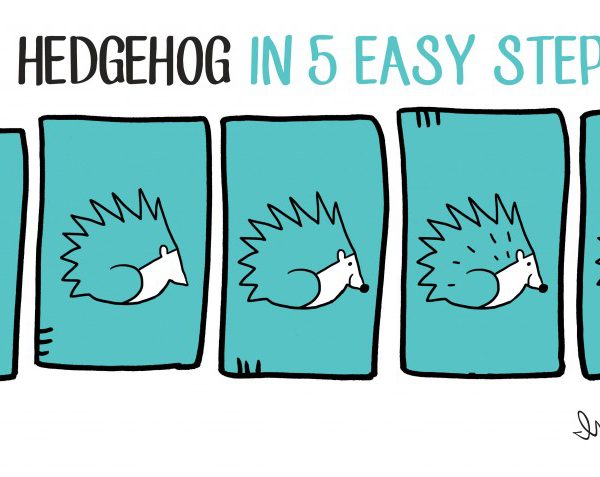 how to draw a hedgehog in 5 steps