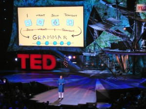 TedTalk speaker pictured with ImageThink board used to support his talk
