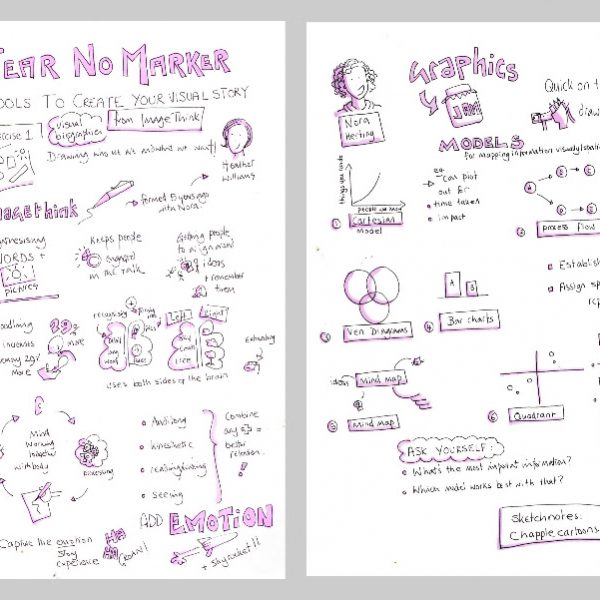 visual boards created by ImageThink: fear no marker