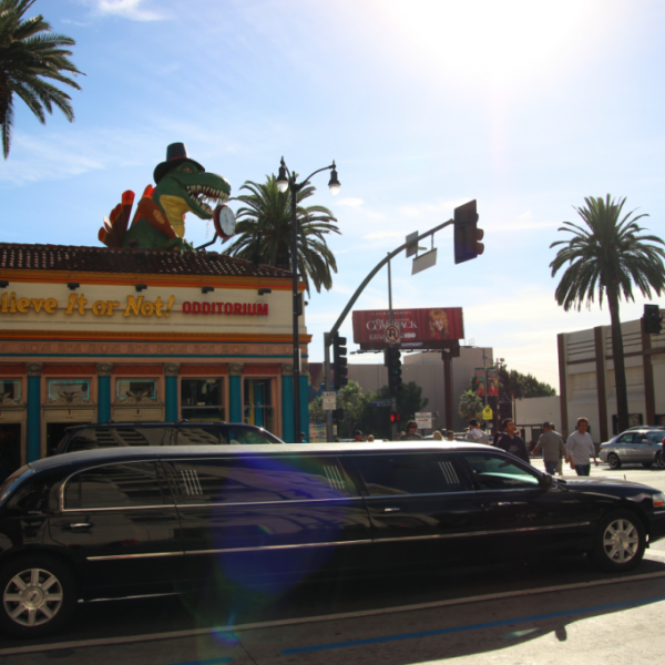Image of Ripley's Believe it or Not in Hollywood