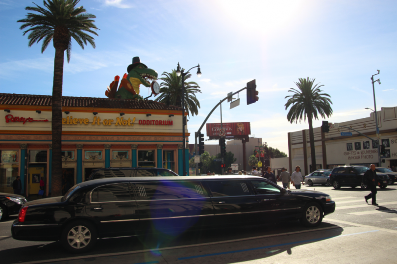 Image of Ripley's Believe it or Not in Hollywood
