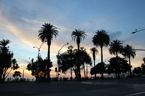 ImageThink in Santa Monica