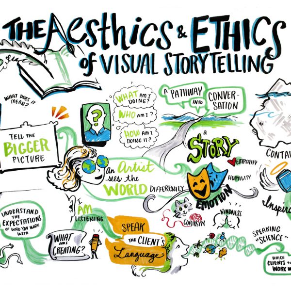 international forum for visual practitioners aesthetics and ethics of visual storytelling liisa sorsa anthony weeks graphic recording graphic facilitation ifvp