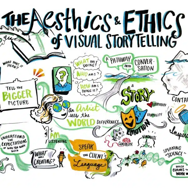 international forum for visual practitioners aesthetics and ethics of visual storytelling liisa sorsa anthony weeks graphic recording graphic facilitation ifvp