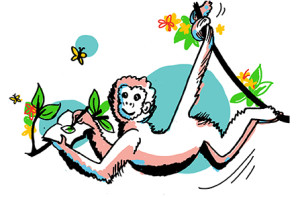 Monkey-StayLoose-ImageThink