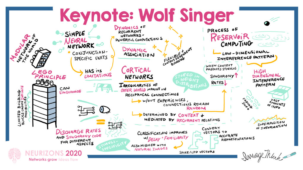ImageThink graphic recording of Keynote session with Wolf Singer at the Neurizons 2020 conference