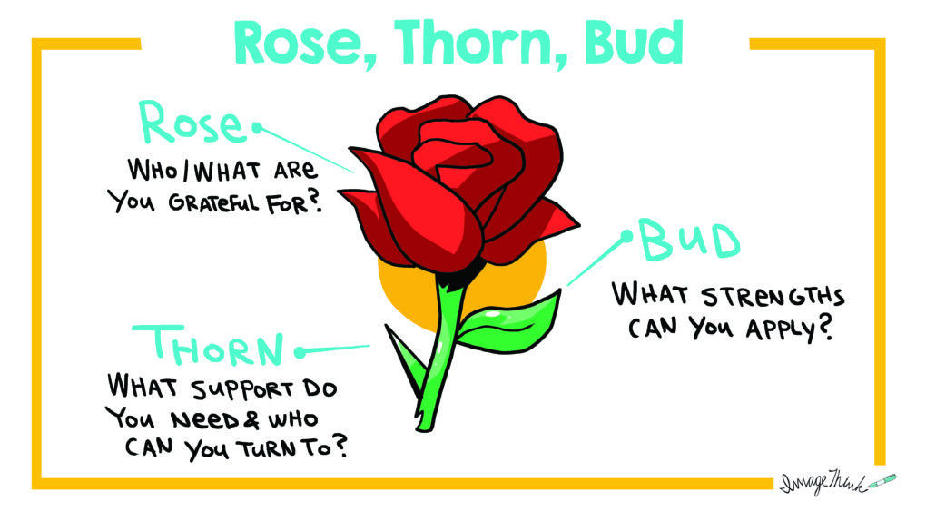 The Rose, Bud, and Thorn creative exercise we use to help teams make decisions.