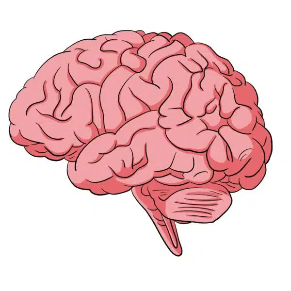 Learn the connection between visual collaboration and our brains from our experts.